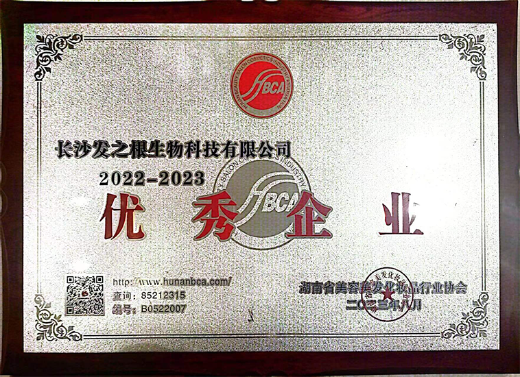1701846194453059.png 美容没法行业协会优秀企业.png