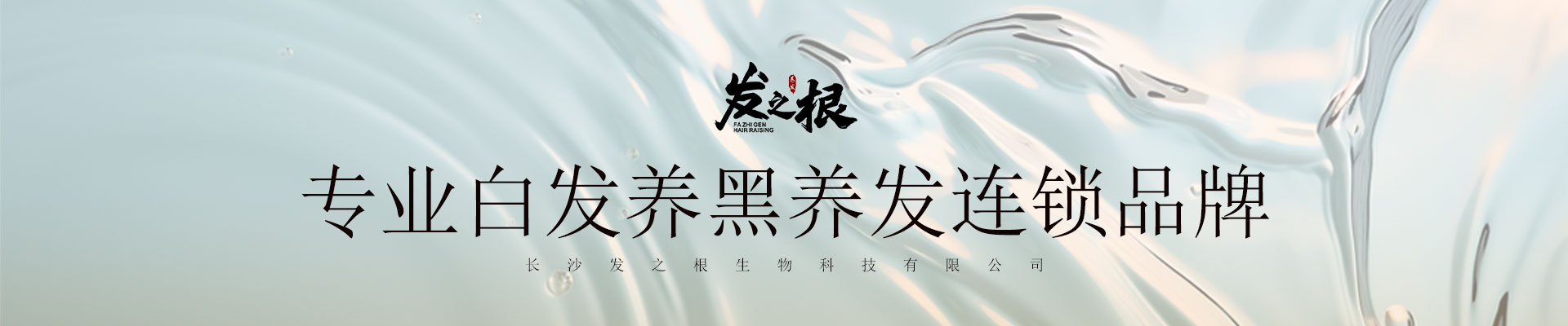 发之根企业文化